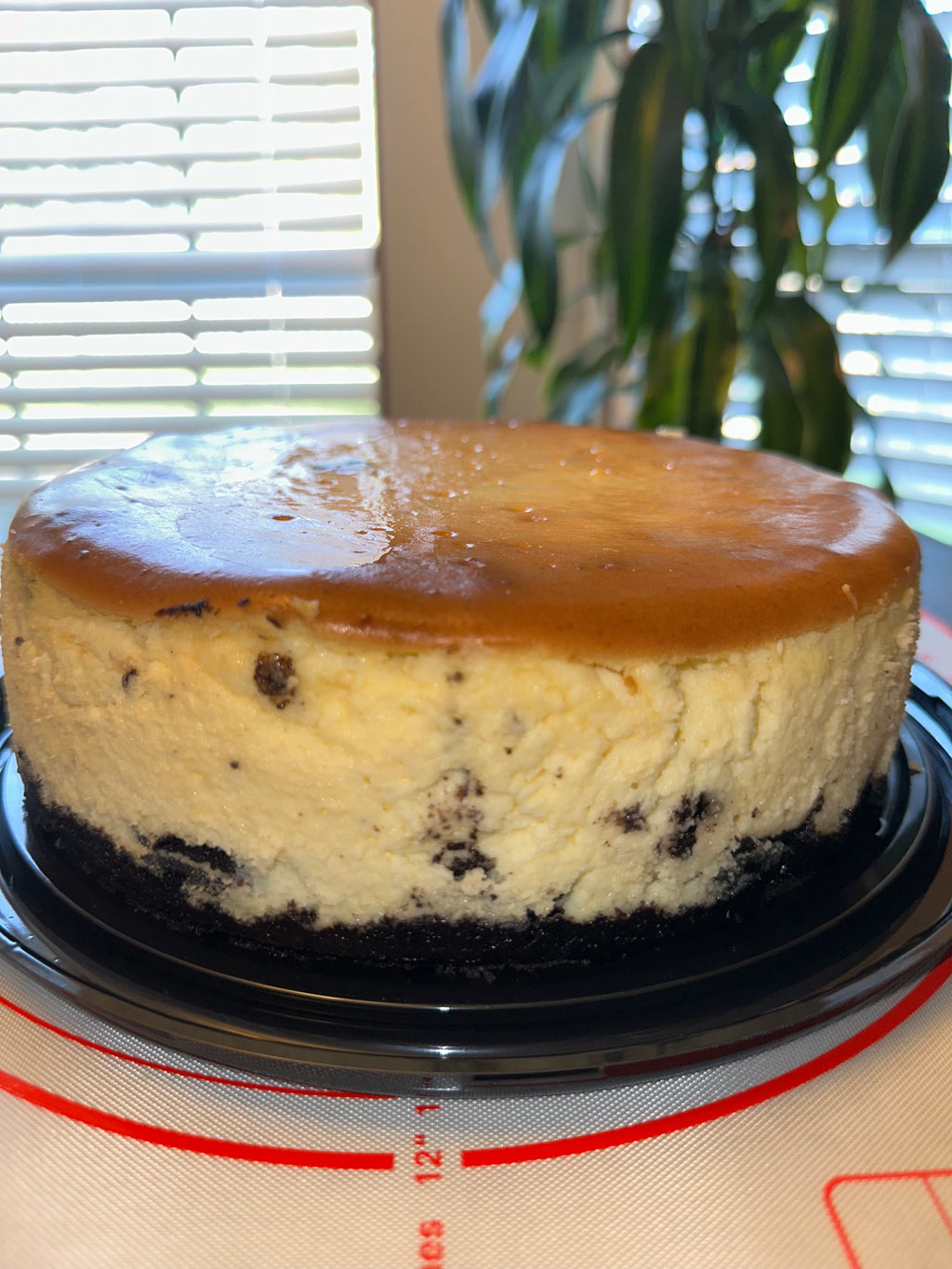 Cheesecake